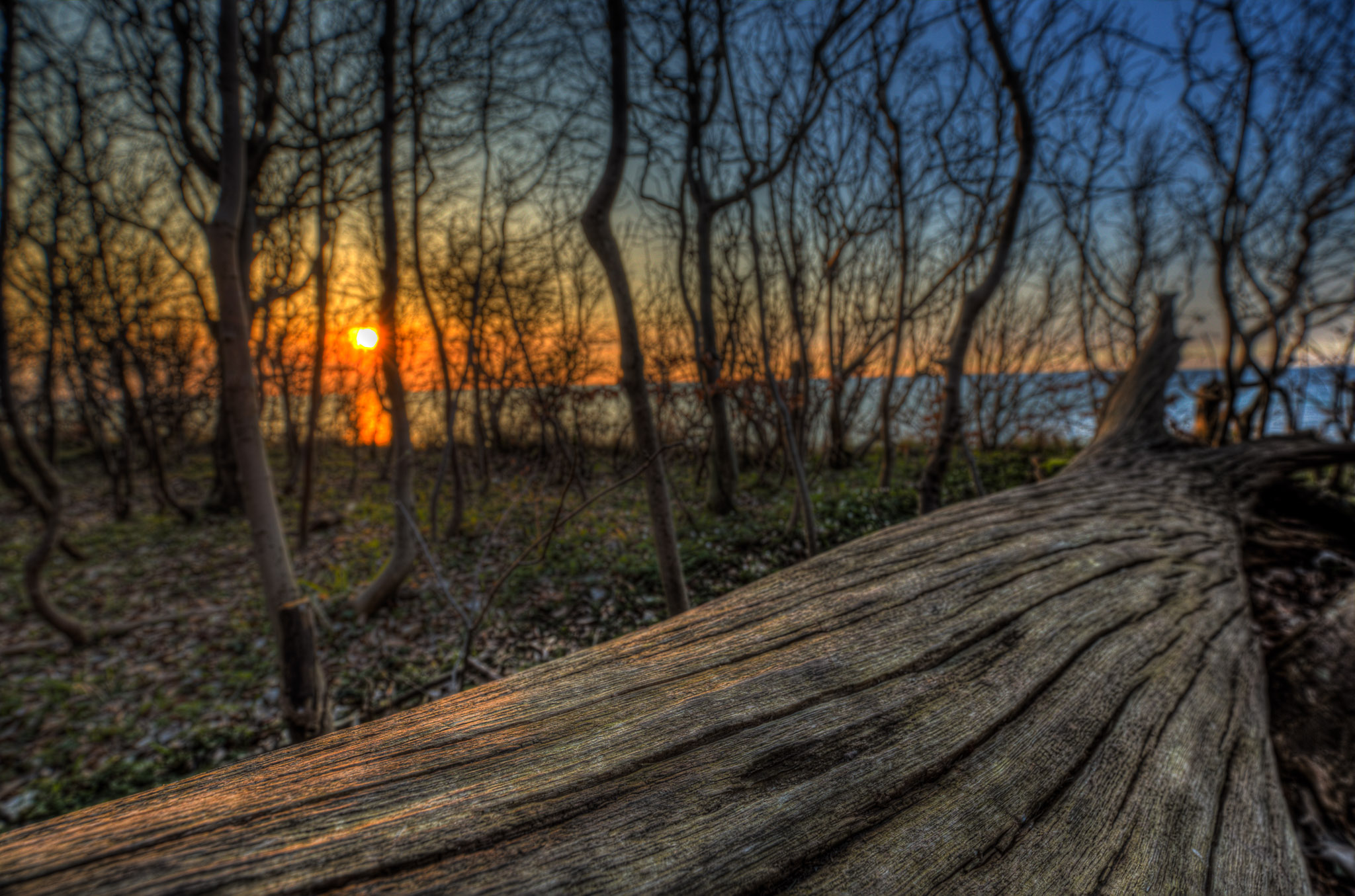 ITS 0847 48 49 50 51 tonemapped